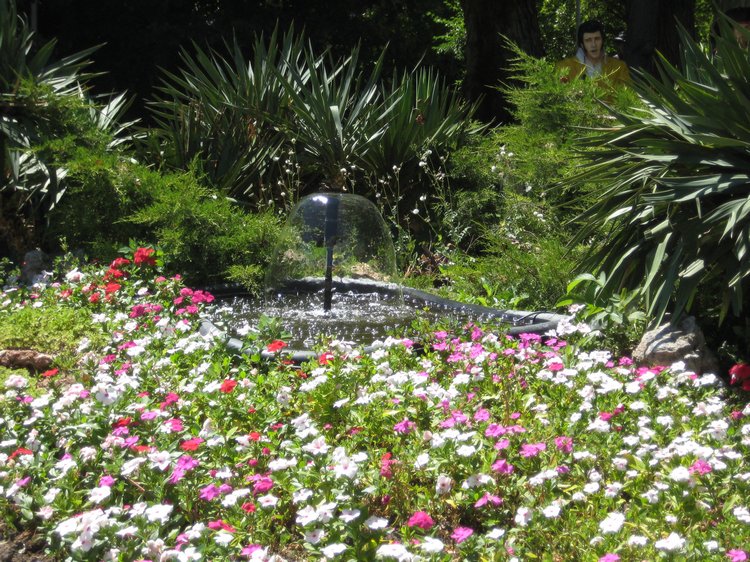 Вот такая вот Болгария — Туризм и путешествия: фотоотчеты из поездок (фото 4)