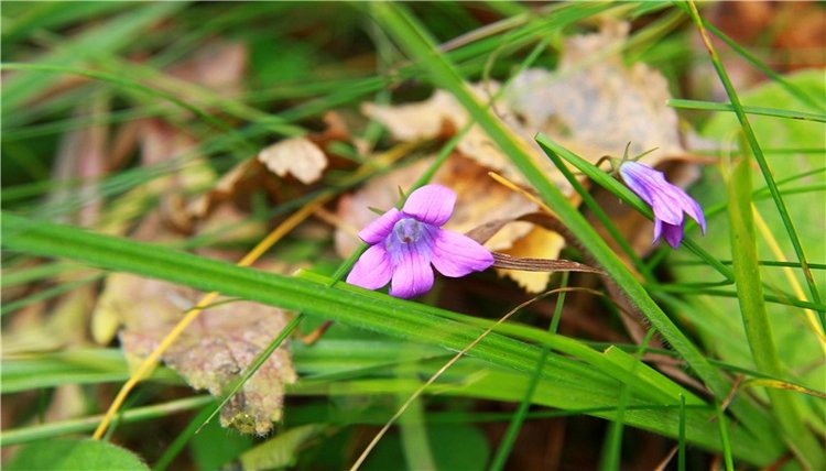 Тверской Водопад — Туризм и путешествия: фотоотчеты из поездок