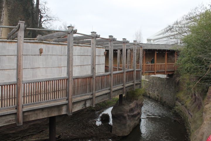 По Германии: зоопарк Лейпцига, часть 2 (фото 4)