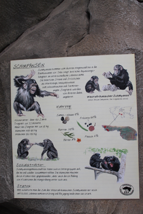 По Германии: зоопарк Лейпцига, часть 3