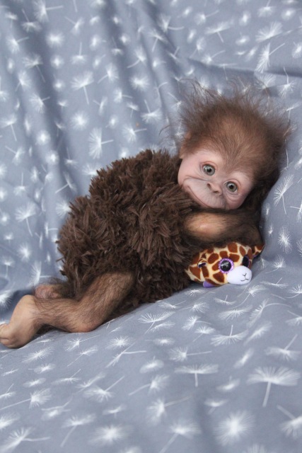 Клёпочка, кукла реборн Элины Кудрявцевой