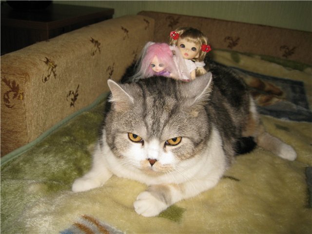 Две подружки. Девочки БЖД - Элис и Сосенка Пин