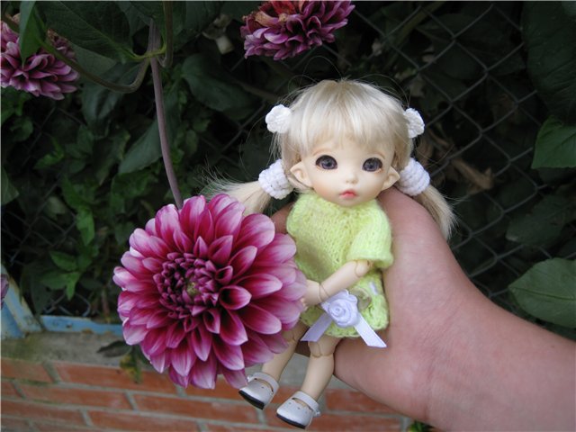 Маленькая дачница! Пукифи Анте Элис | Бэйбики Маленькая дачница! Пукифи Анте Элис