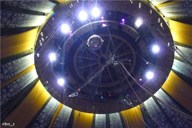 Вот так чудеса или как Ариэль в Большой Московский Цирк ходила. PukiFee Ante Ариэтти, PukiFee Bonnie Ариэль