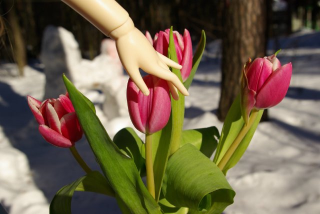 Алиса Льюиса Кэрролла или Алиса Ким Лашер?! Просто Алиса (фото 7)