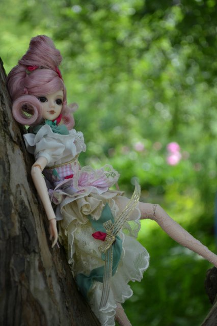 Девушка-пион: джеечка La Rue de Rivoli (J-doll)