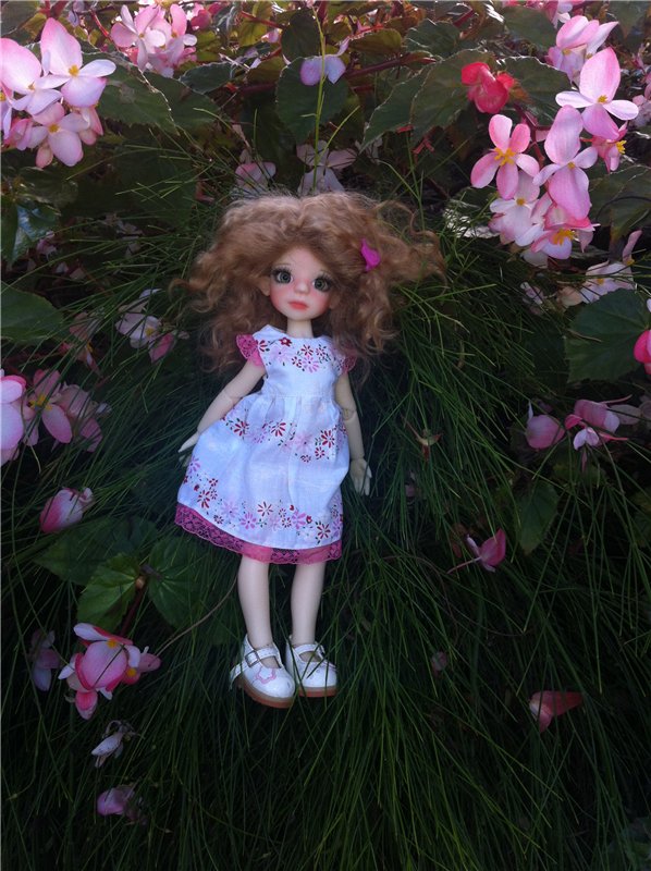 Большое путешествие маленькой девочки. Kaye Wiggs, Nutmeg