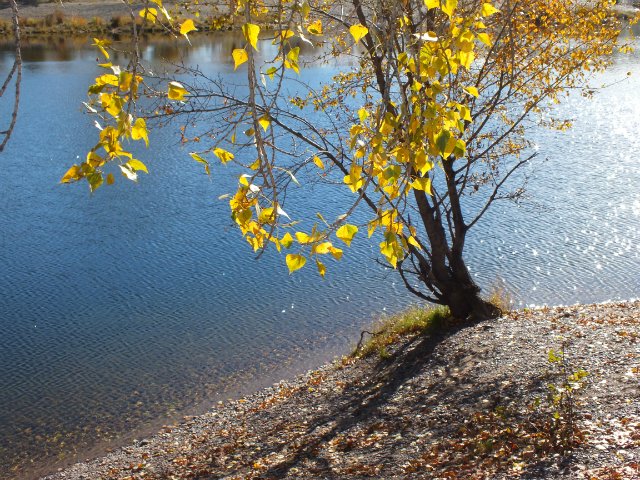 Осень золотая пора. Натали, LUTS (мейк от WOLKOLAK) (фото 3)