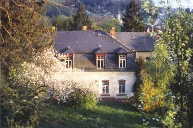 Волшебный мир кукол Эвелин Фрингс (Eveline Frings dolls)