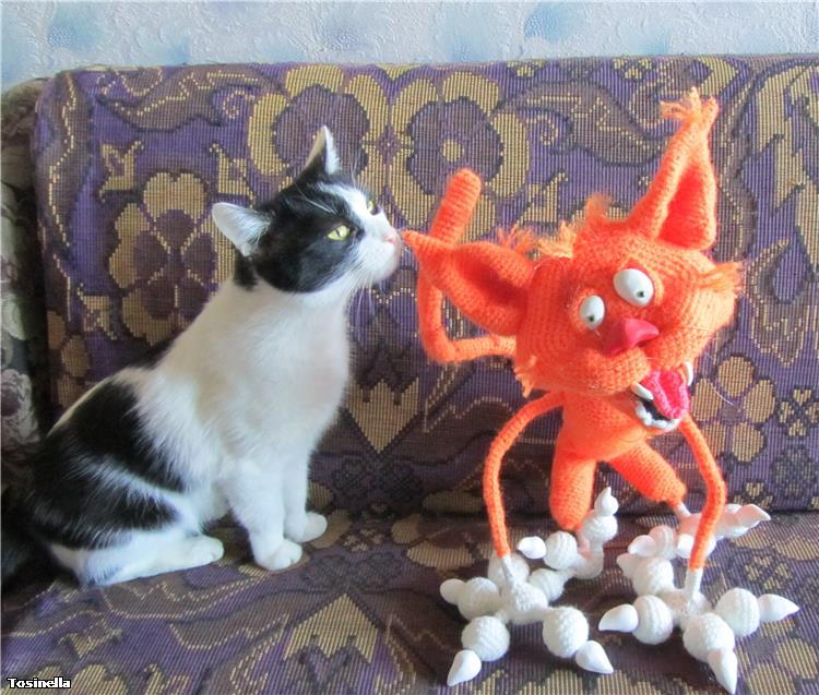 Аристарх. Кот пришелся по душе (фото 5)