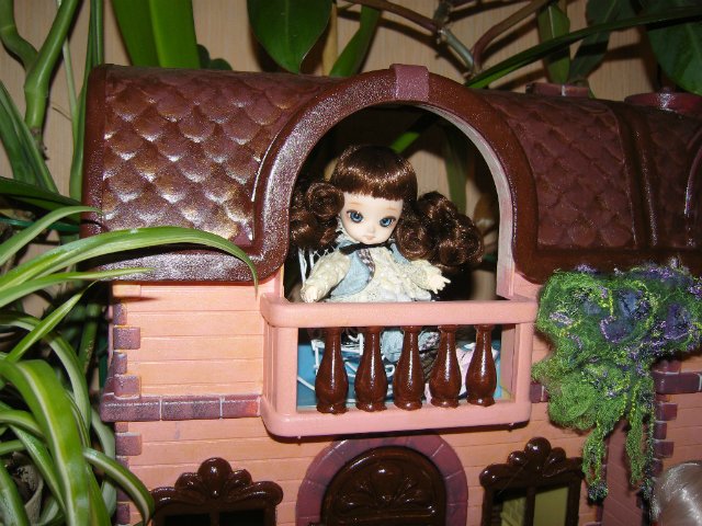 В моем новом домике новоселы (фото 8)