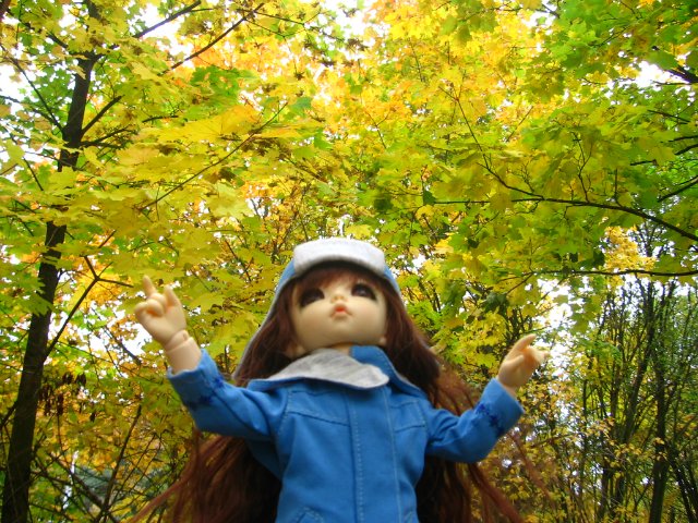 Осенняя прогулка Мини и Мики (фото 7)