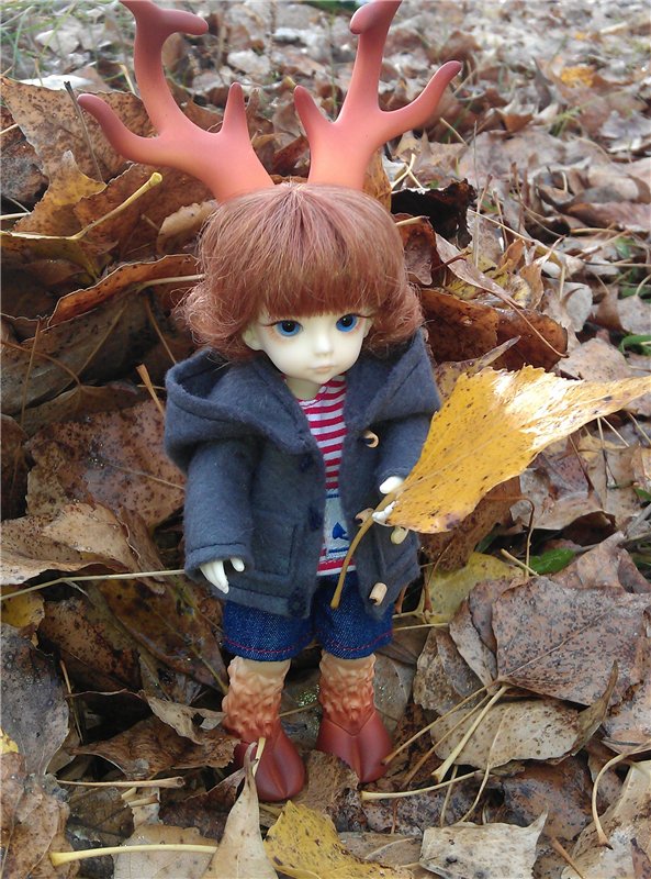 День нашего Дейви — Куклы Dollzone (Доллзон): BJD (БЖД) (фото 7)