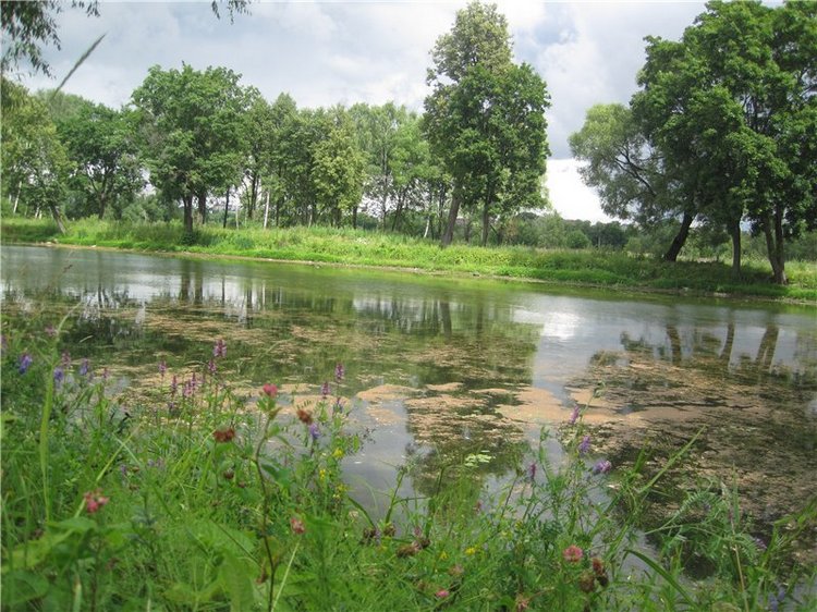 Моя маленькая художница. Кукла Kaethe Kruse Таточка | Бэйбики Моя маленькая художница. Кукла Kaethe Kruse Таточка (фото 9)