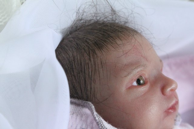 Зая, мини реборн Элины Кудрявцевой (фото 5)