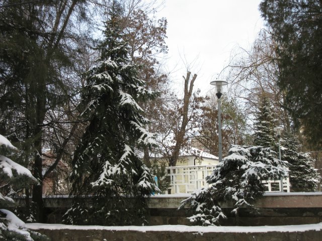 Чем бы заняться юному лорду 30 декабря