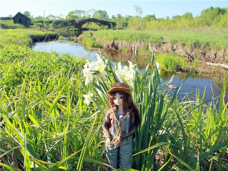 Субботний вояж. Заключительная часть