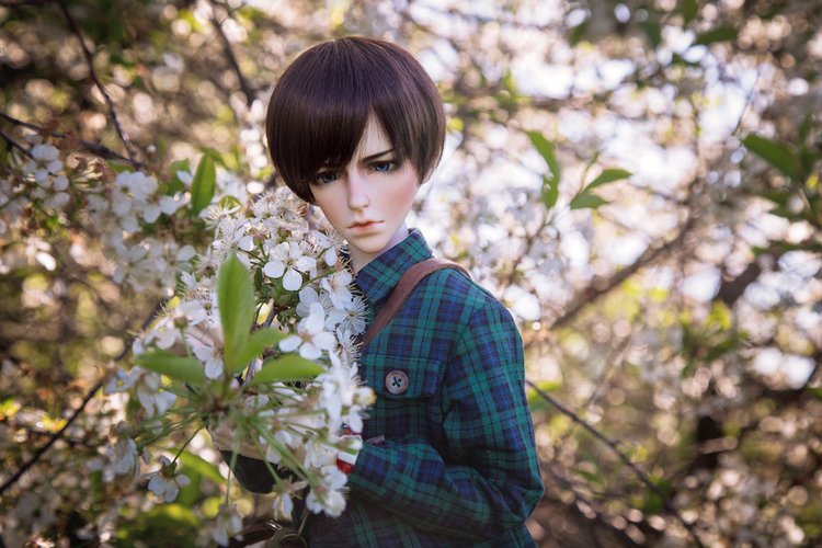 Под цветущими яблонями — Фотоистории с куклами BJD (БЖД): сериалы (фото 8)