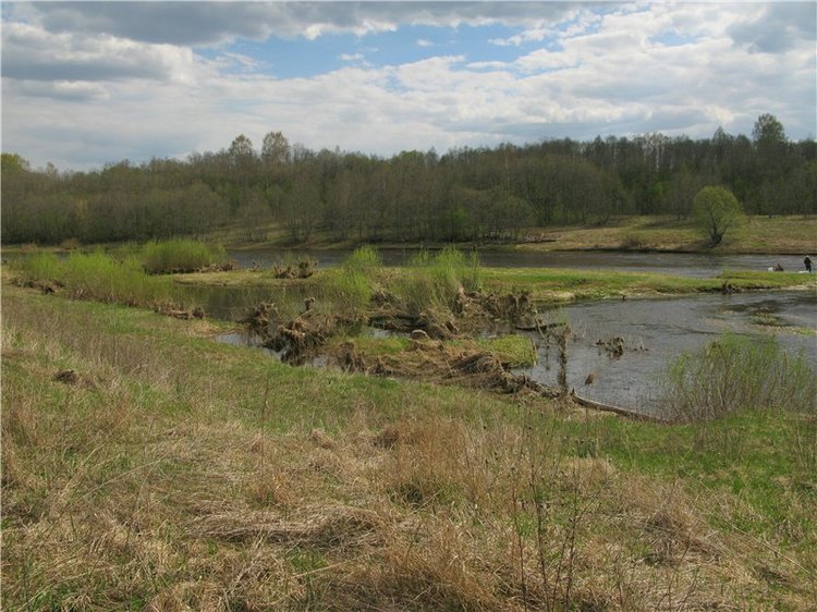 На водопад с Райли. Riley от автора Helen Kish