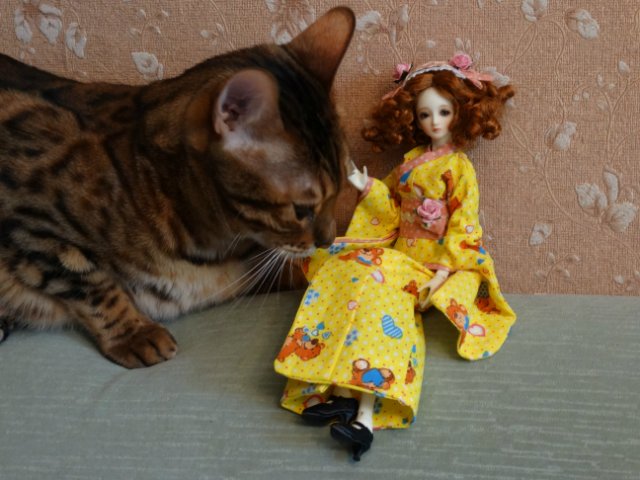 Метелька и её новый друг | Бэйбики Метелька и её новый друг — Куклы Souldoll (Соулдолл): BJD (БЖД) (фото 5)