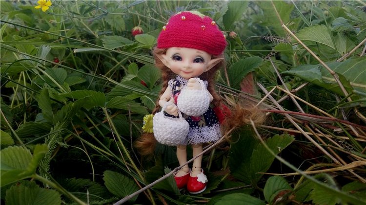 Земляничный день — Домашние коллекции кукол: фото собраний