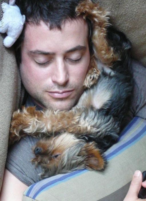 Если вы хотите завести собаку (фото 9)