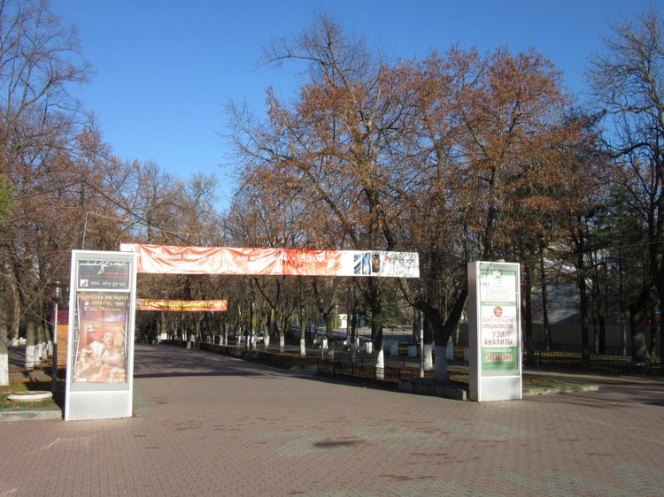 Утренняя прогулка в парке Горького с Соломоном и Анхен, или О сложностях гуляния с собакой и куклой одновременно (фото 4)