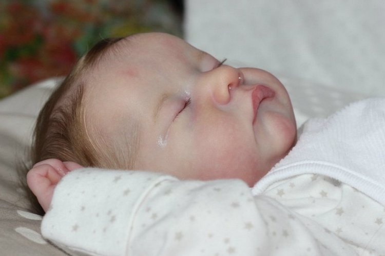 Мальчик-заичик, Левушка, кукла реборн Беспаловои Жанны