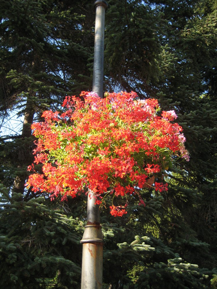 Вот такая вот Болгария — Туризм и путешествия: фотоотчеты из поездок