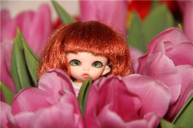 Ну и у нас 8 марта — Куклы Fairyland (ФэйриЛэнд): BJD (БЖД)