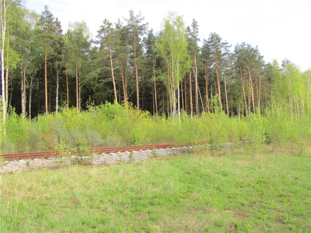 Весенний день... или как девочки ходили на пикник.№1