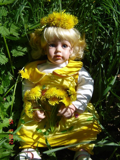 Солнечный лучик заглянул в мой сад (фото 5)