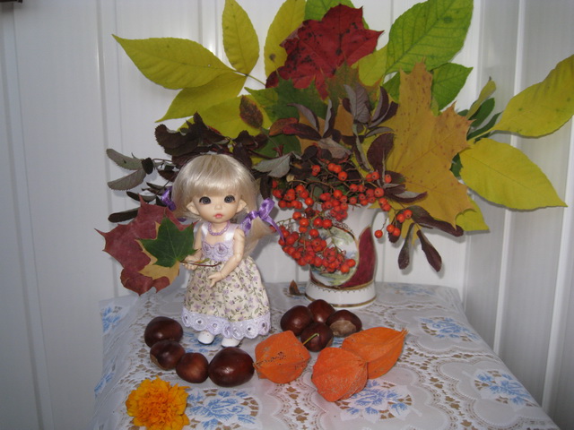 Золотая осень или прогулка по городу БЖД Пукифи Анте -- Элис | Бэйбики Золотая осень или прогулка по городу БЖД Пукифи Анте -- Элис