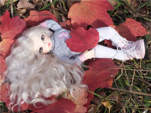 Краски осени... Кукла БЖД Оливка в парке | Бэйбики Краски осени... Кукла БЖД Оливка в парке (фото 4)