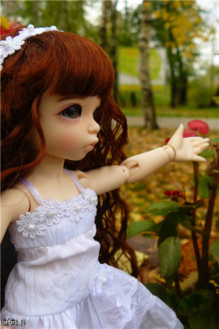 Вот так погуляли или Как у нас появилась кукла БЖД LittleFee Ante Elf