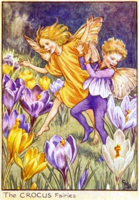 Долгая жизнь цветочных фей от иллюстраций Cicely Mary Barker до кукол Birgitte Frigast (фото 4)