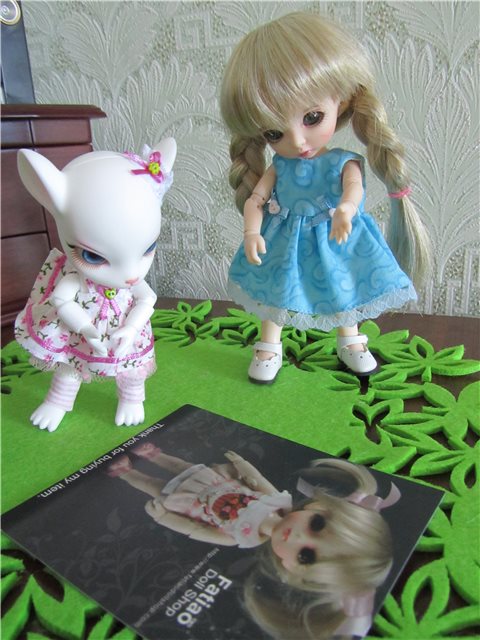 Распаковка шестого лепестка. Двойняшки. Должны быть похожи или отличаться (фото 2)