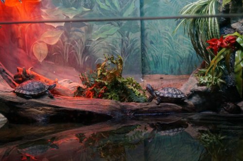 Воронежский океанариум — Туризм и путешествия: фотоотчеты из поездок