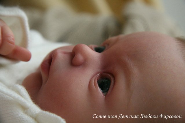 Малыши реборн от Любови Фирсовой Coco-Malu, Katie-Marie, Bean and Sprout, Patrik, Livia