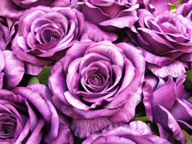 Сиреневое настроение или девочка от Сьюзен Крей