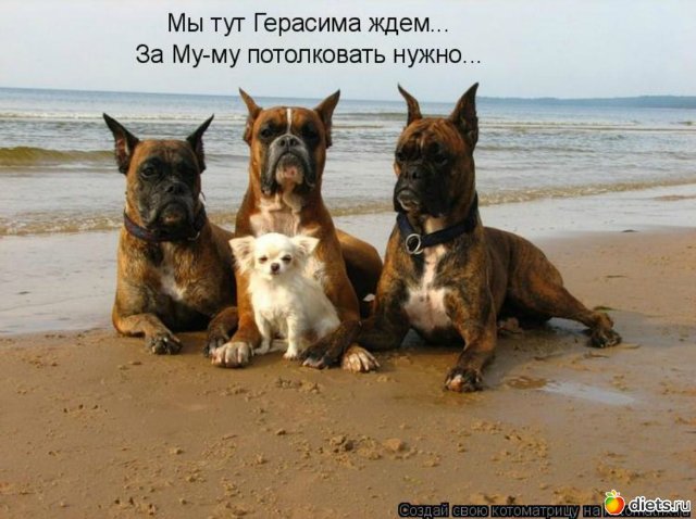 Понедельник - день тяжёлый | Бэйбики Понедельник - день тяжёлый