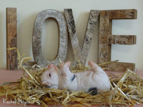 Зверятки-реборнятки — Молды и прототипы Реборн (Reborn): новинки