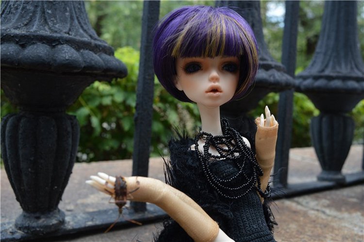 Моя любимая ведьма Исса — Куклы Doll Chateau (Доллшато): BJD (БЖД) (фото 6)