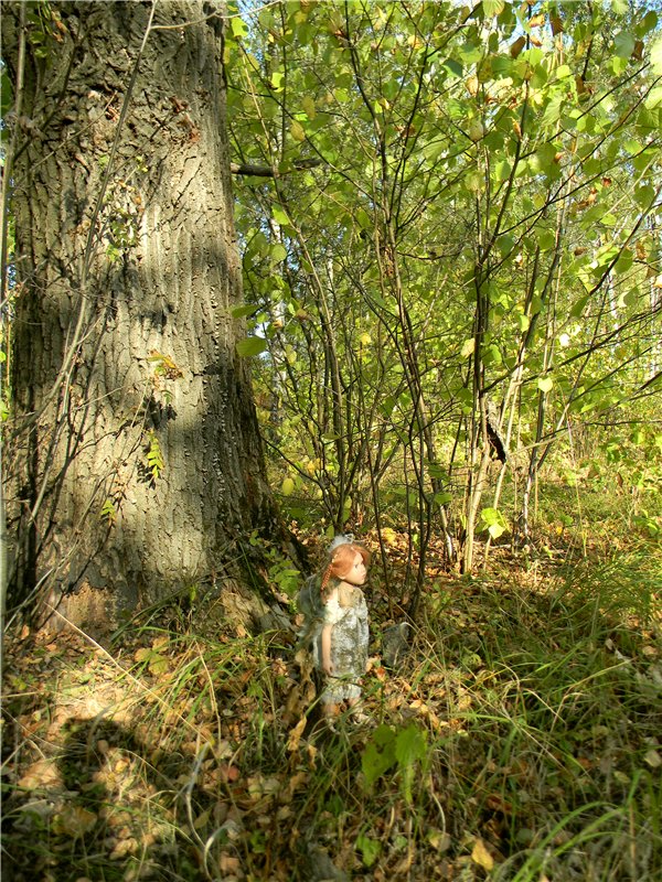 В сентябре пришло к нам лето! Мальва Zwergnase, мой рыжий эльфик