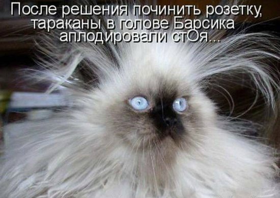 Просто добавь улыбку или пятничный девиз