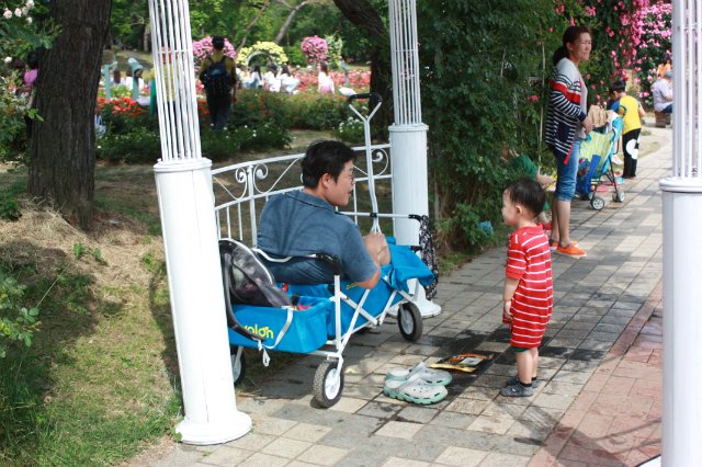 Выставка роз в Сеуле — Туризм и путешествия: фотоотчеты из поездок (фото 8)