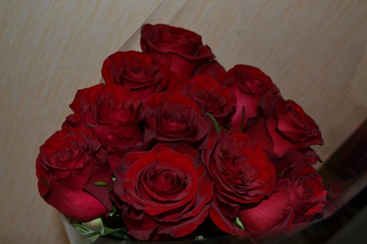 Сердца, цветы и шоколадный мишка