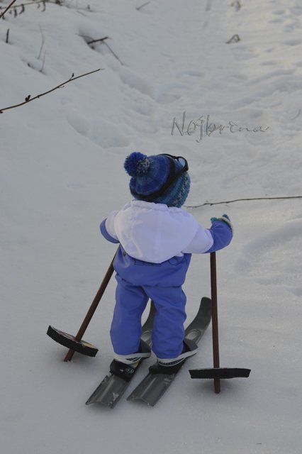 Двое в санках, не считая кота...Вихтели Rosemarie Anna Muller (фото 10)