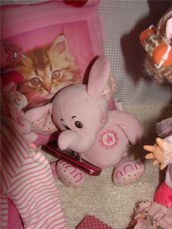 Розовый фламинго... или выбери меня, выбери меня, птица счастья завтрашнего дня