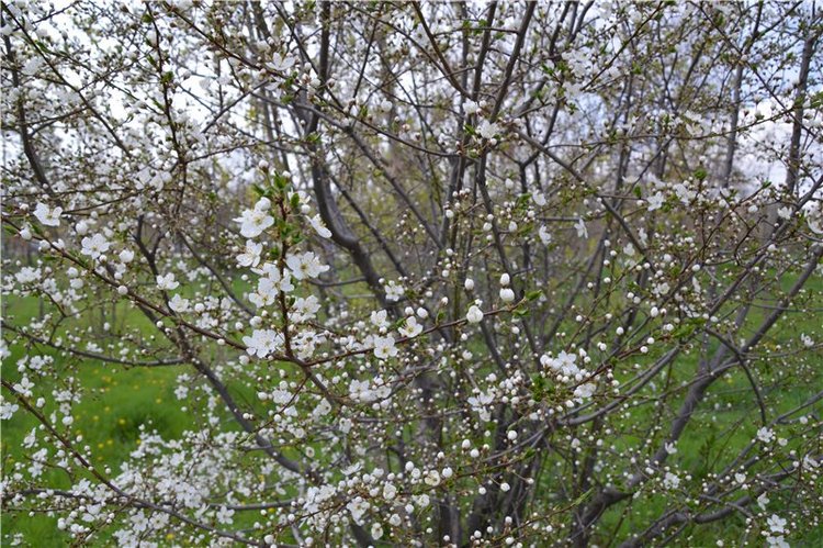 Прогулка по Мамаеву кургану Часть 2